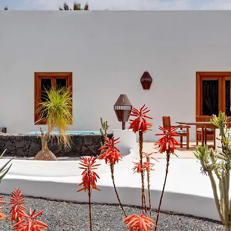 El Cactus Teguise (Lanzarote)