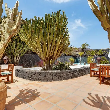 El Cactus * Teguise (Lanzarote)