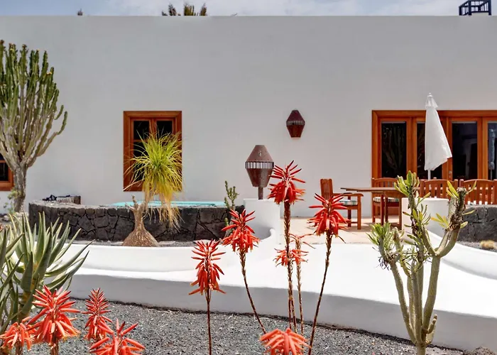 El Cactus Teguise (Lanzarote)