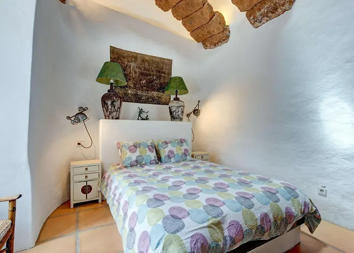 El Cactus فيلة